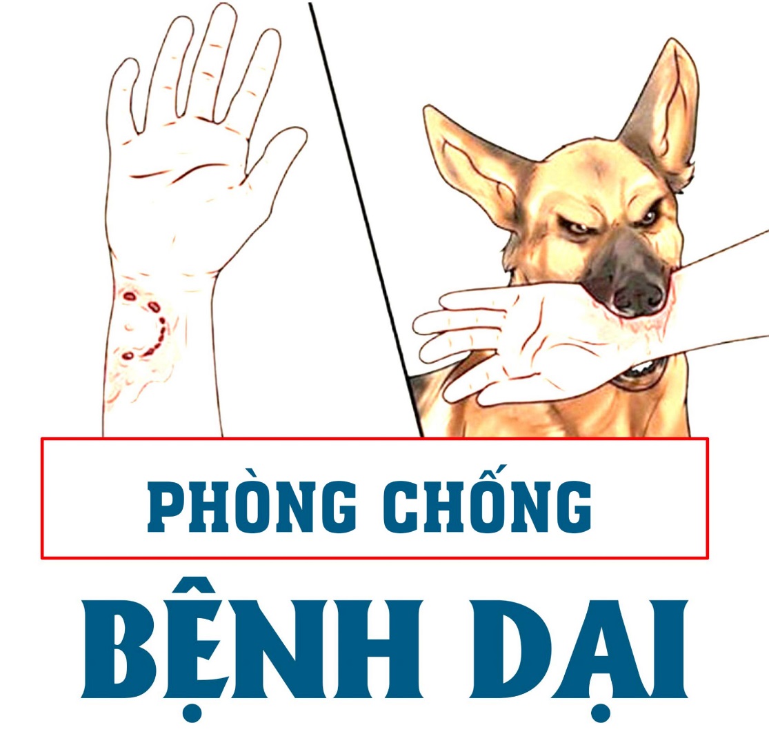 Những điều cần biết về bệnh dại